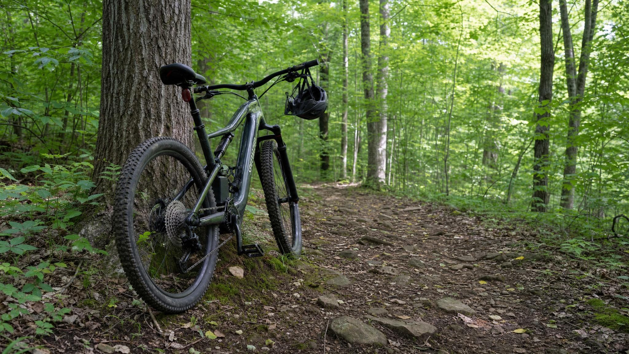 Electric mountain bike trail through wooded terrain at the Foundation property in Strongsville