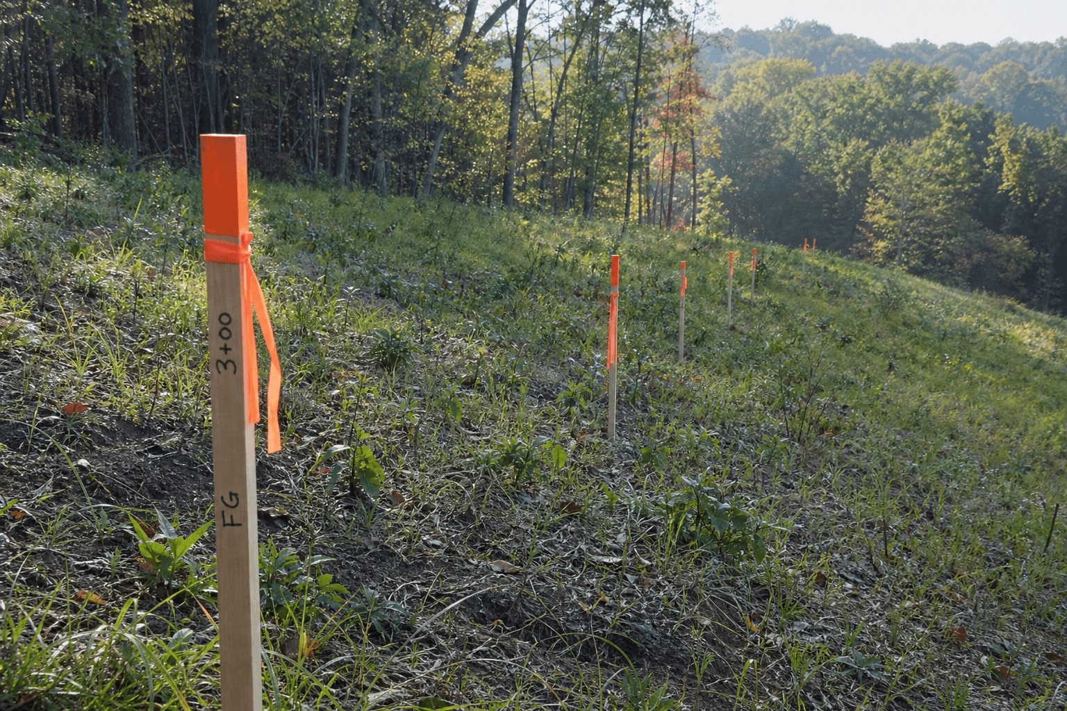 Survey stakes and orange flags marking grading contours on a hillside restoration lot