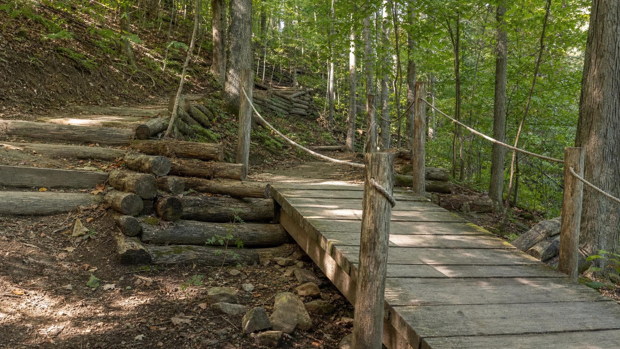 Hand-built log retaining wall and dirt walking trail on the wooded slope at the Foundation property in Strongsville