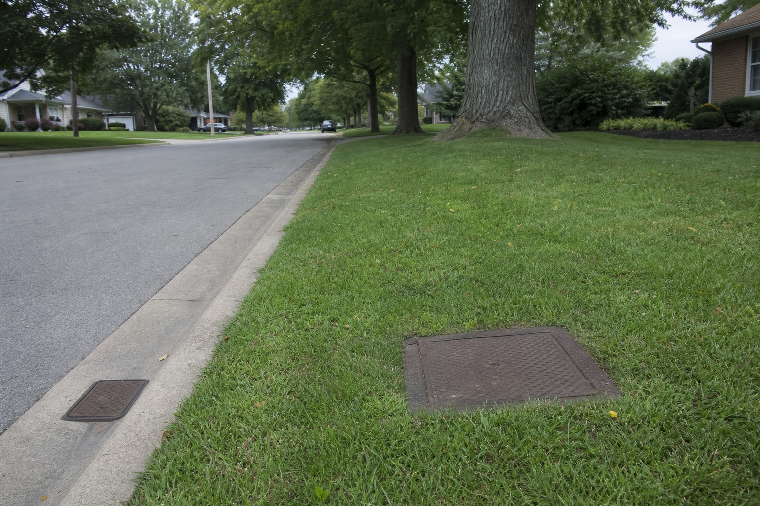 Iron monument box flush with grass along a suburban right-of-way